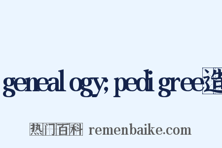 genealogy;pedigree造句是什么意思的图片